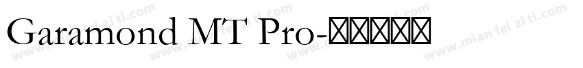 Garamond MT Pro字体转换